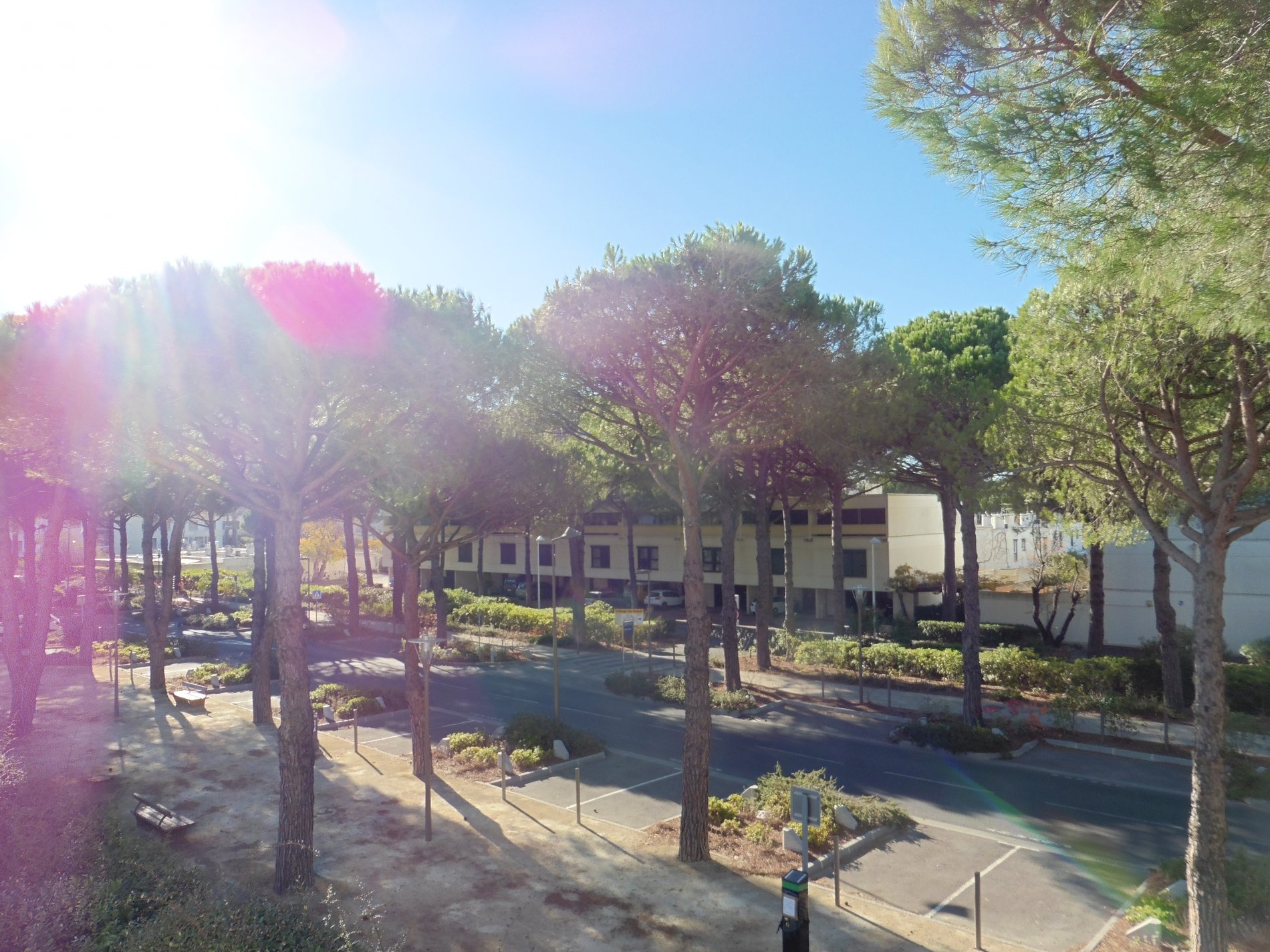 location La Grande Motte Point zéro studio meublé à l'annéelocation